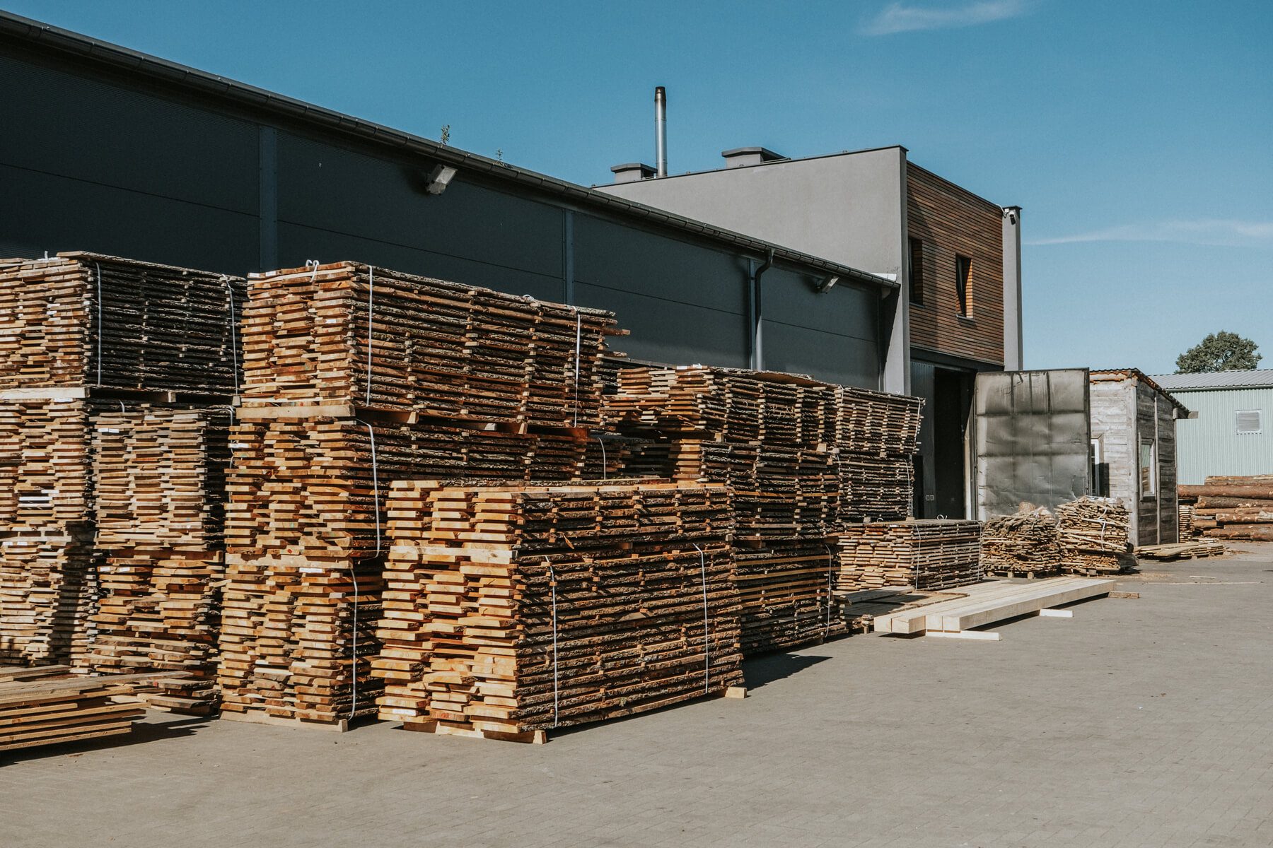 Alder