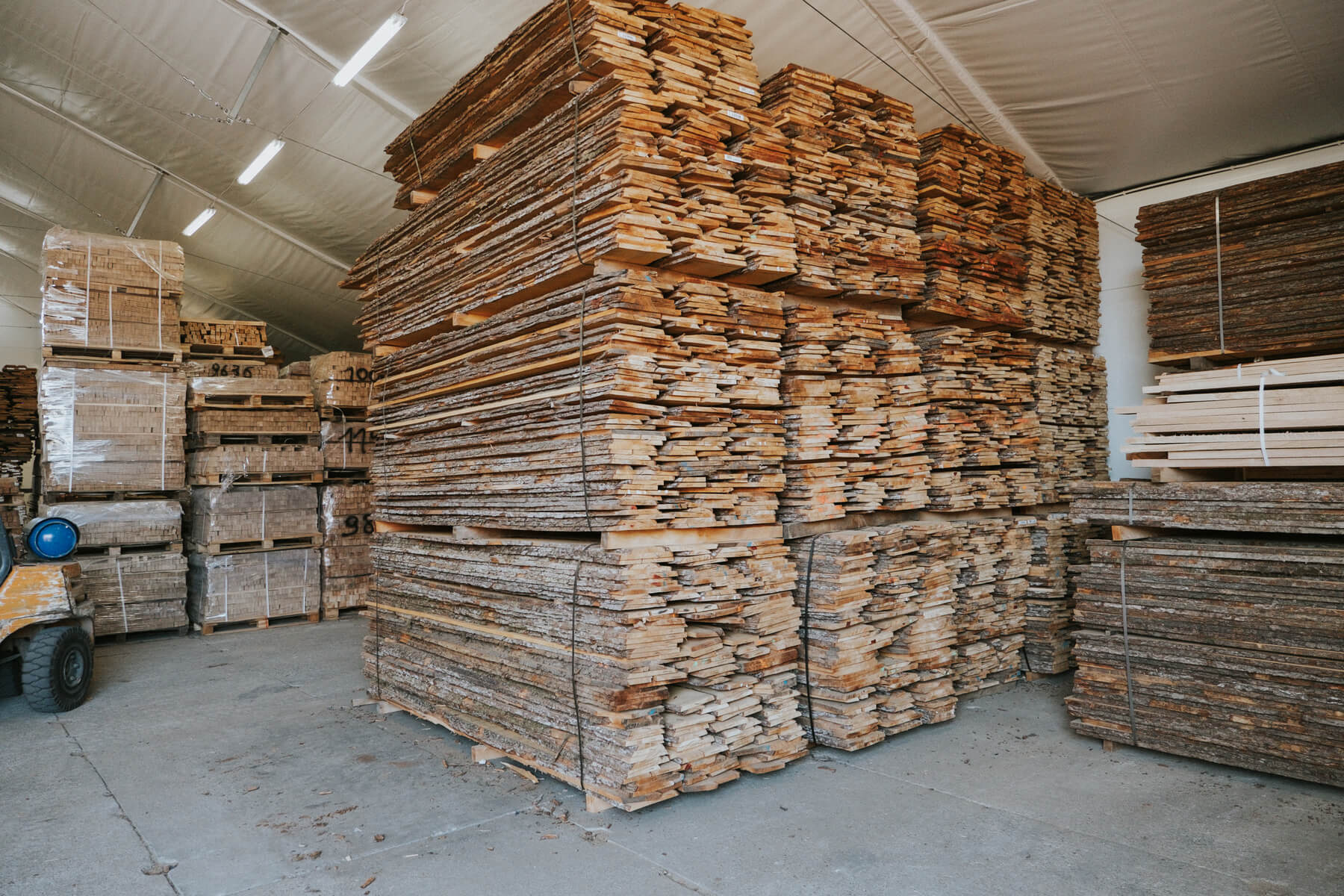 Alder
