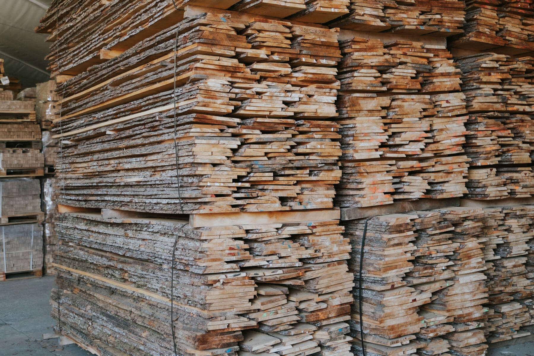 Alder