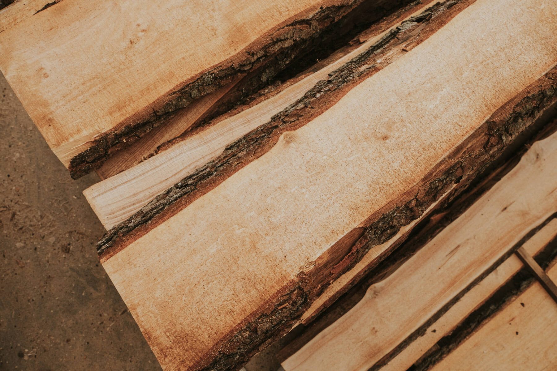 Alder