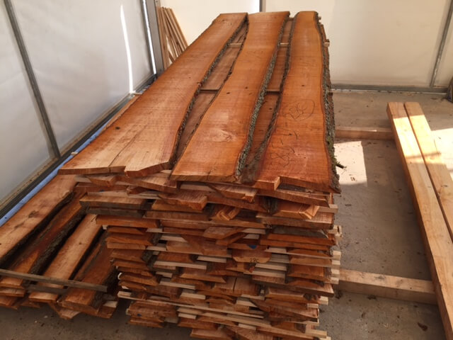 Alder