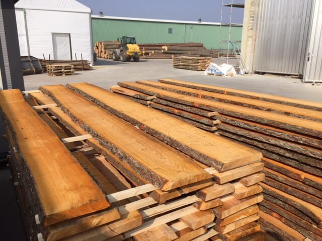Alder