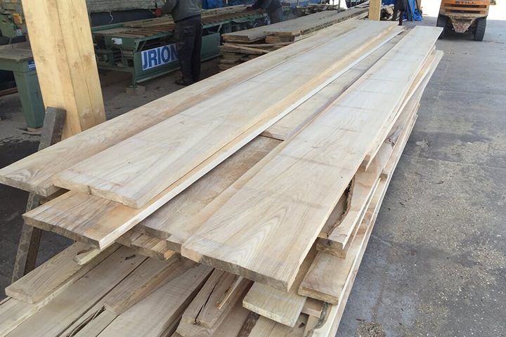 Alder