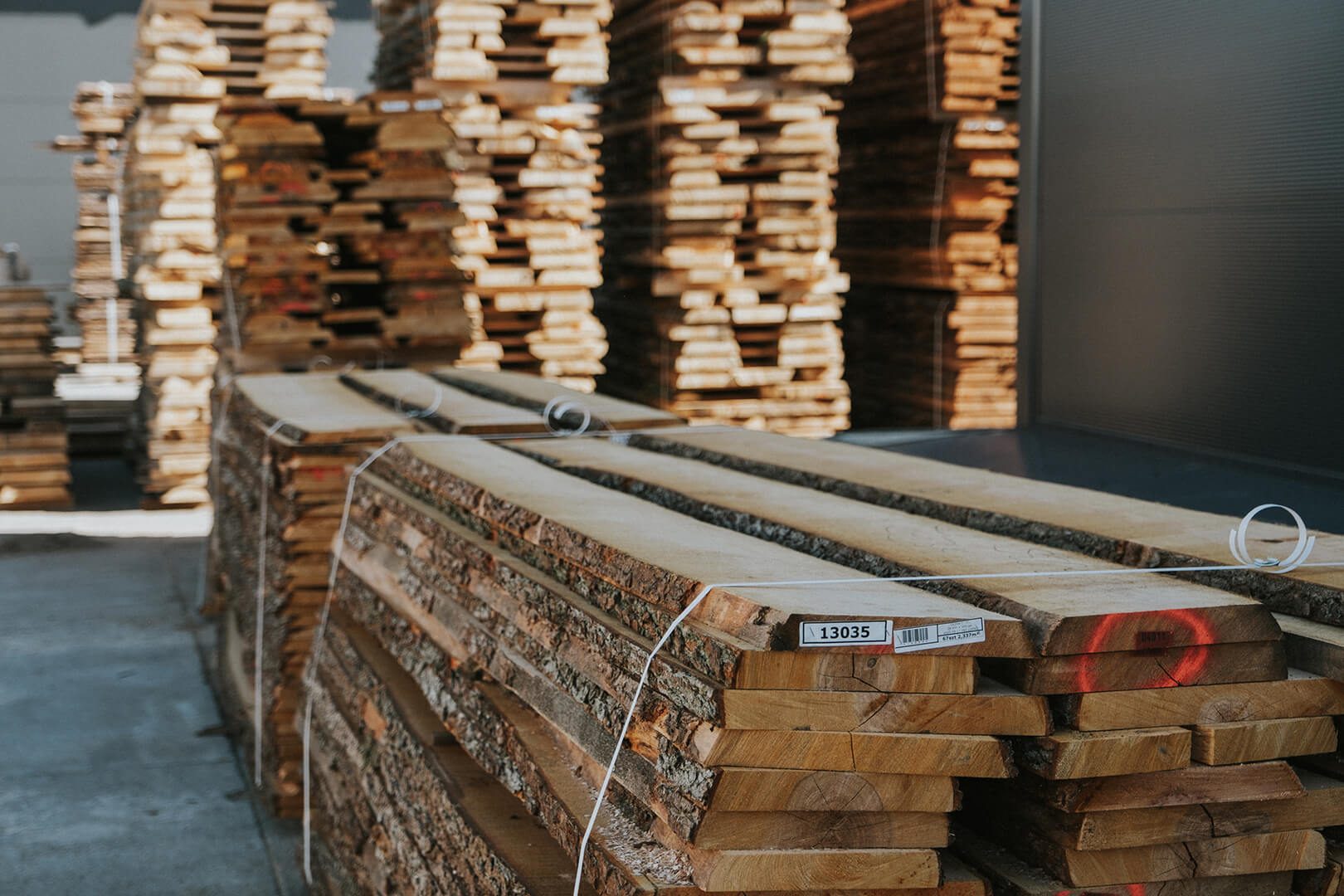 Alder