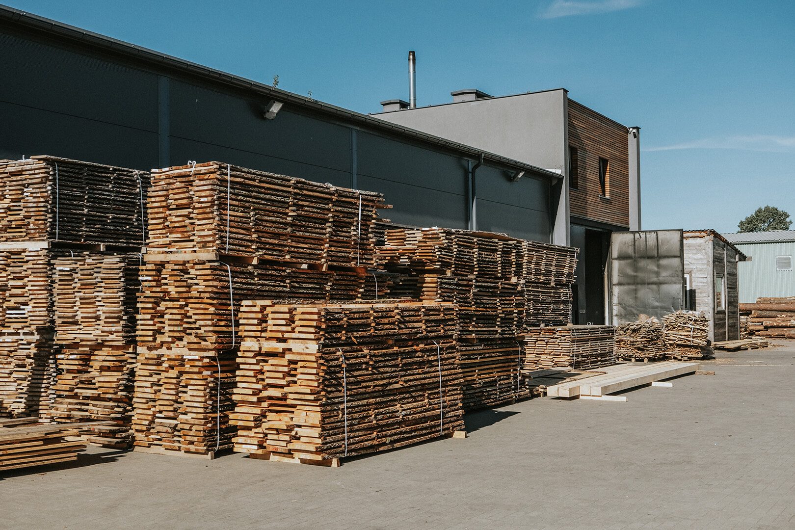 Alder