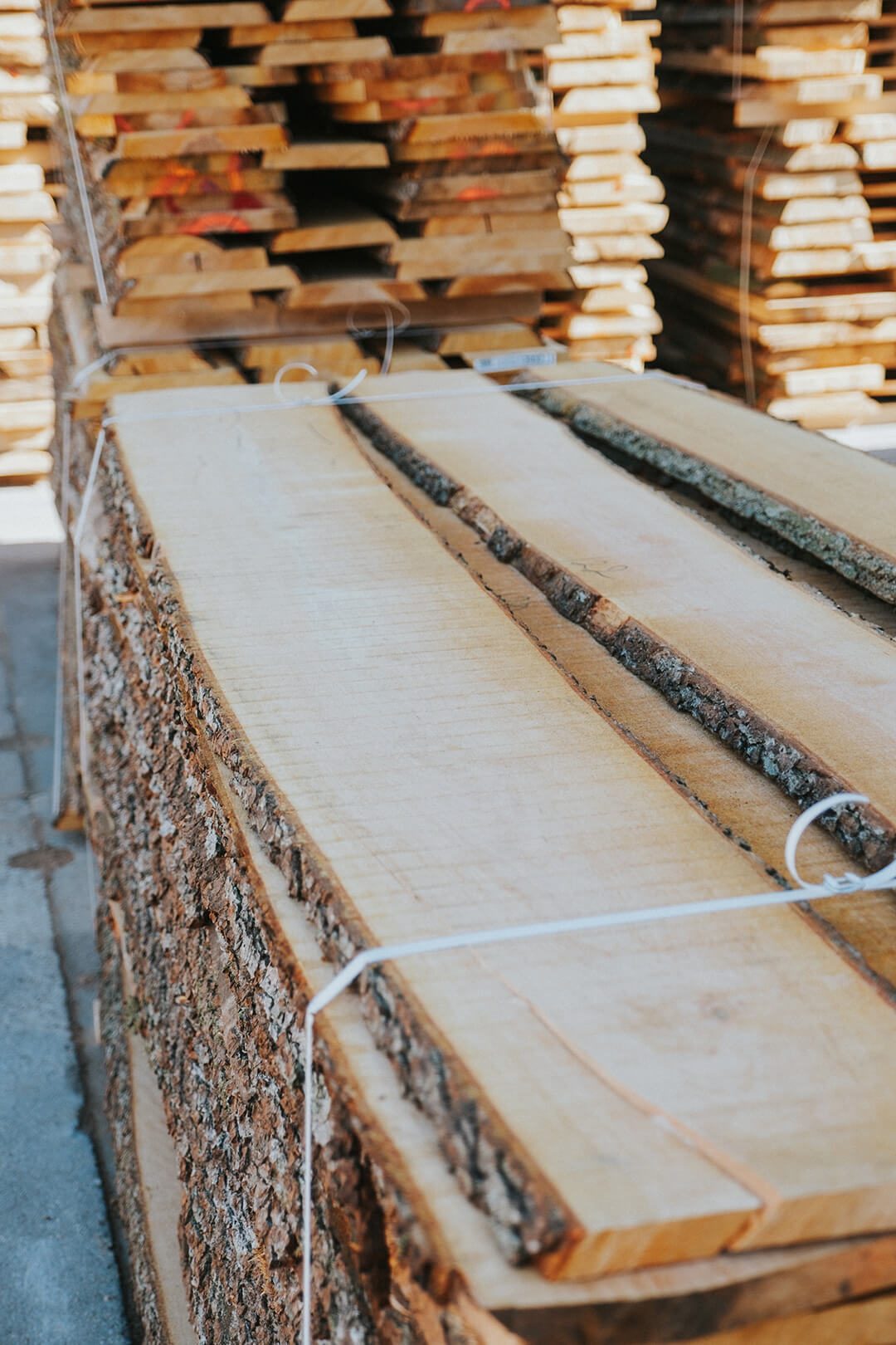 Alder