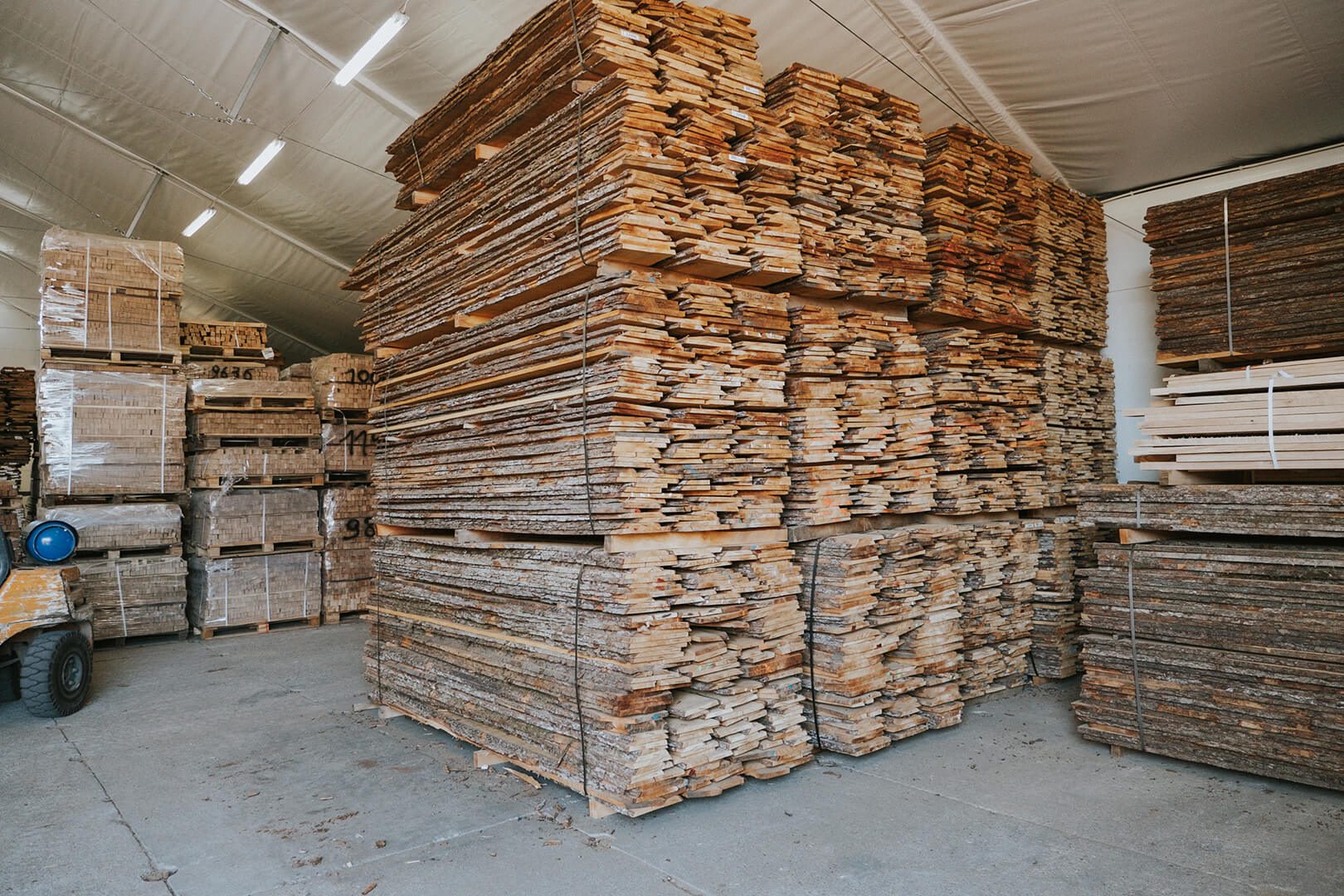 Alder